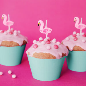 Kerzen Flamingos