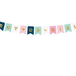 Banner Boy or Girl